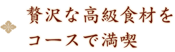 贅沢な高級食材をコースで満喫